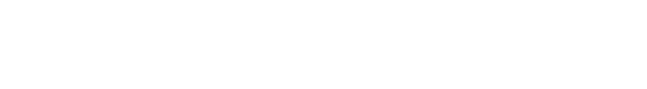 Playnetic logo
