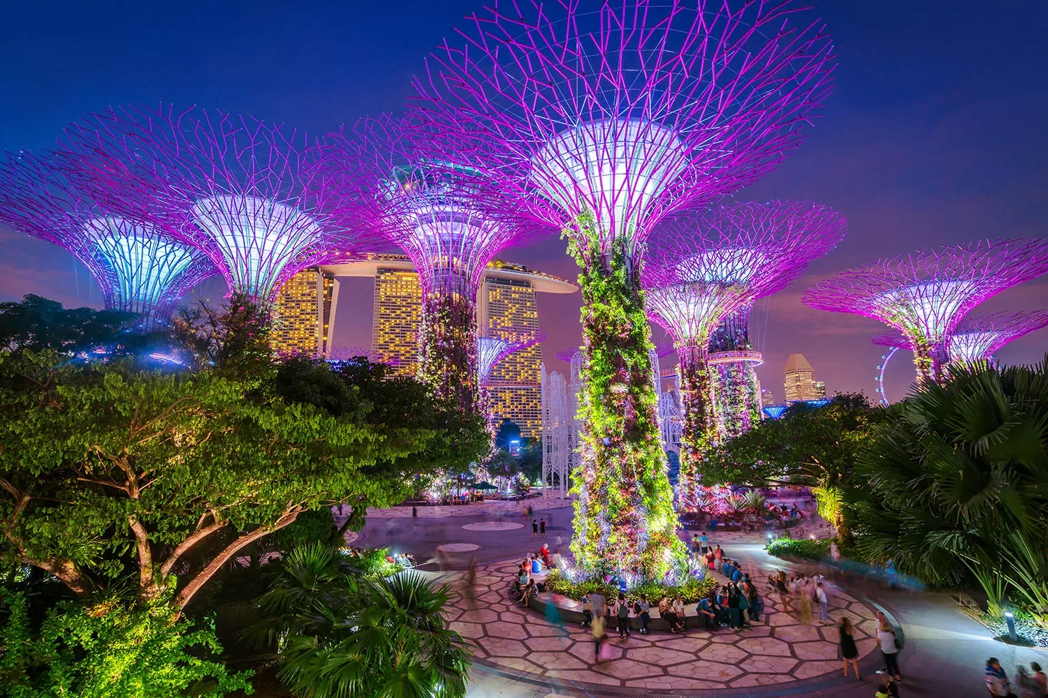 Singapore event venues — Gardens by the Bay Supertree Grove at night