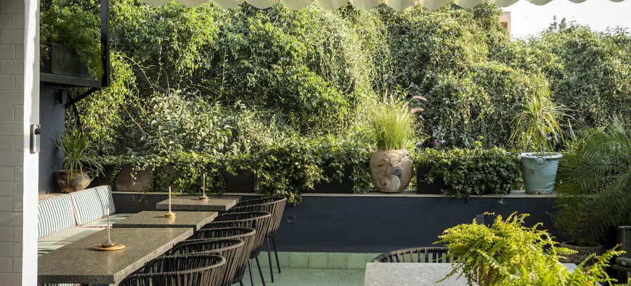 Awning-covered roof terrace with a stone bar counter and a wall of climbing greenery at Roso Guest House, Roma Norte, Mexico City