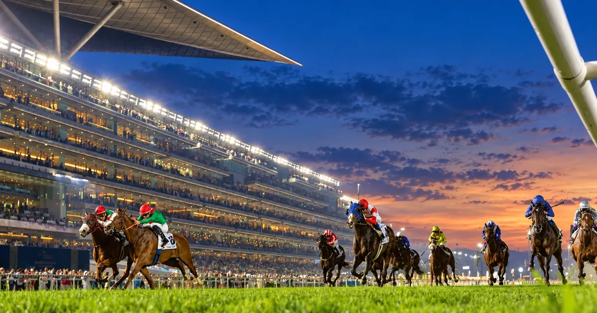 United Arab Emirates, Dubai — Horses racing past the lit grandstand at Meydan Racecourse